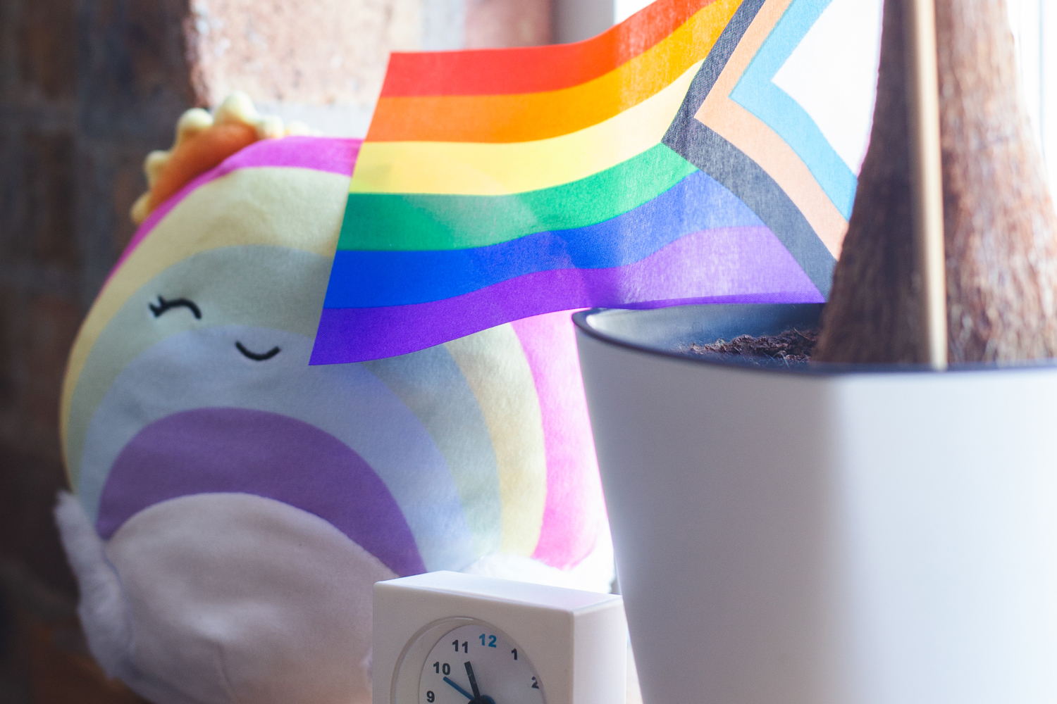 Detail of items found in the Live Oak office and therapy spaces